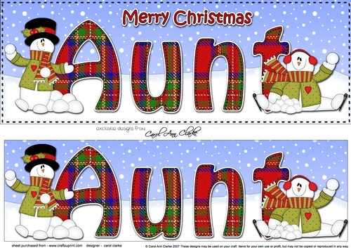 Large DL Merry Christmas AUNT 3D decoupage 