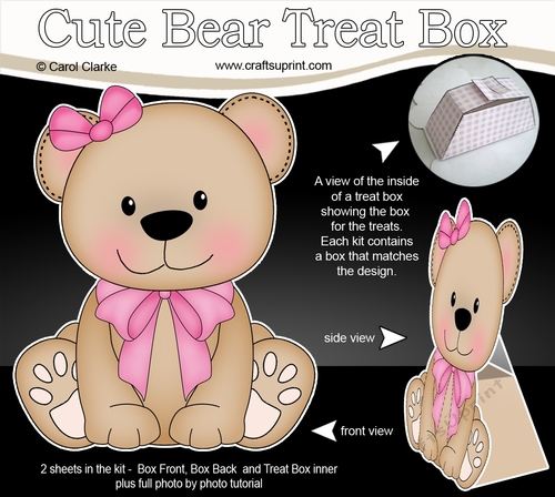 3D Cute Bear Treat Box Gift Set Mini Kit - Cute Little Livvy Bear