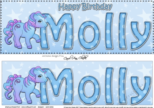 Large DL Happy Birthday MOLLY 3D decoupage