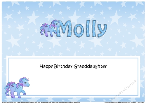 Large DL Happy Birthday Granddaughter MOLLY insert