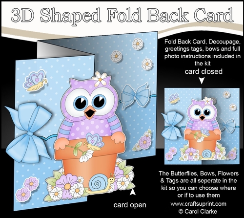 3D Shaped No-Hole Fold Back Card Kit - Flowerpot Friends - Cute Little Hoot Owl