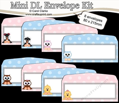 8 Mini Dl (80 x 215mm) Cute Birds Envelope Kit