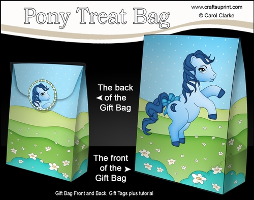 3D Gift Bag Mini Kit - Cute Little Pony Moondancer