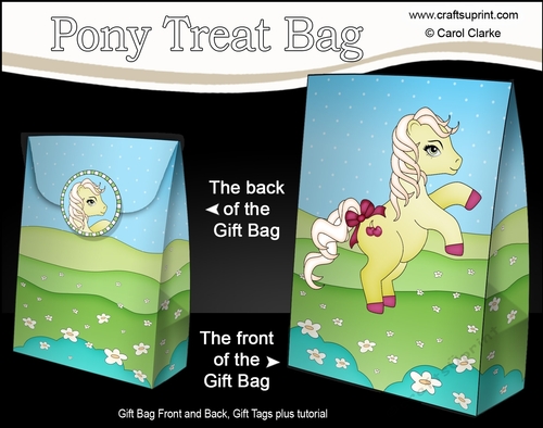 3D Gift Bag Mini Kit - Cute Little Pony Cherryade