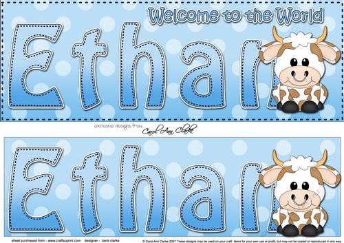 Large DL Welcome to the World ETHAN 3D decoupage