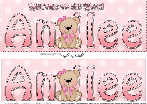Large DL Welcome to the World AMILEE 3D decoupage