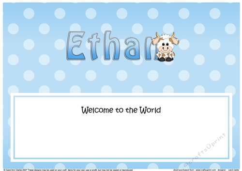 Large DL Welcome to the World ETHAN insert