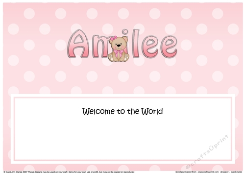 Large DL Welcome to the World AMILEE insert