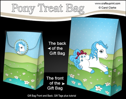 3D Gift Bag Mini Kit - Cute Little Pony Snowflake