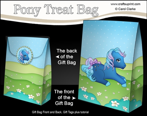 3D Gift Bag Mini Kit - Cute Little Pony Twinkle