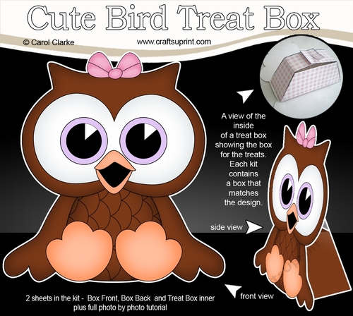 3D Cute Bird Treat Box Gift Set Mini Kit - Cute Little Olive Owl