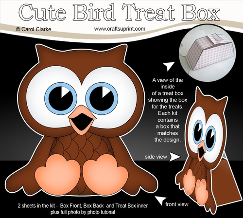3D Cute Bird Treat Box Gift Set Mini Kit - Cute Little Orson Owl