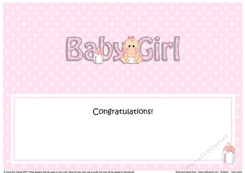 Large DL NEW BABY GIRL insert