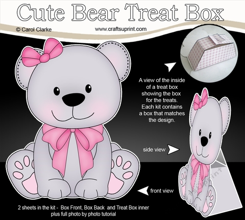 3D Cute Bear Treat Box Gift Set Mini Kit - Cute Little Bessy Bear