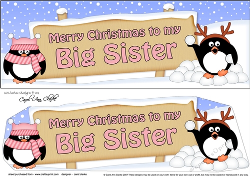 Large DL Merry Christmas BIG SISTER with Penguins 3D decoupage