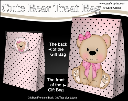 3D Gift Bag Mini Kit - Cute Little Livvy Bear