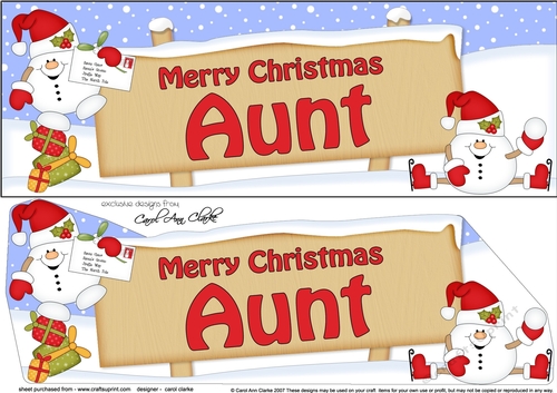 Large DL Merry Christmas AUNT with Snowball Sam 3D decoupage