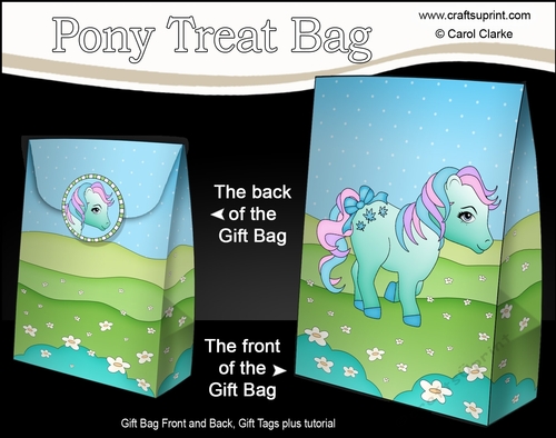 3D Gift Bag Mini Kit - Cute Little Pony Minty 