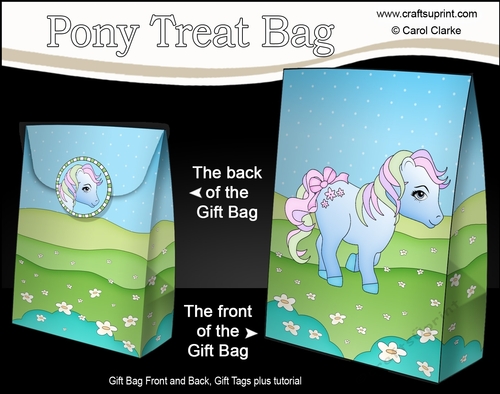 3D Gift Bag Mini Kit - Cute Little Pony Fleur