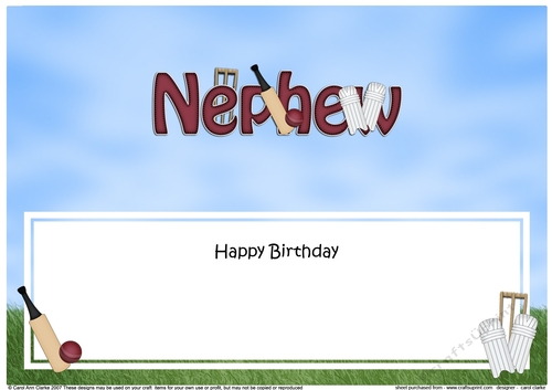 Large DL Happy Birthday NEPHEW insert