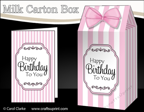 3D Candy Stripe Milk Carton Treat Box Mini Kit