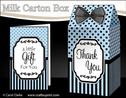 3D Spots & Stripes Milk Carton Treat Box Mini Kit