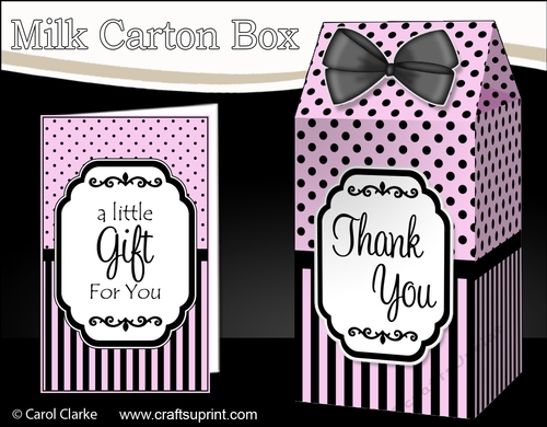 3D Spots & Stripes Milk Carton Treat Box Mini Kit