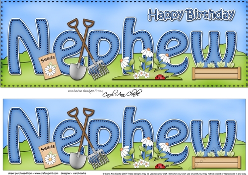 Large DL Happy Birthday NEPHEW 3D decoupage