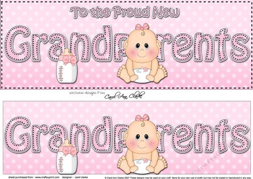 Large DL TO THE PROUD NEW GRANDPARENTS insert