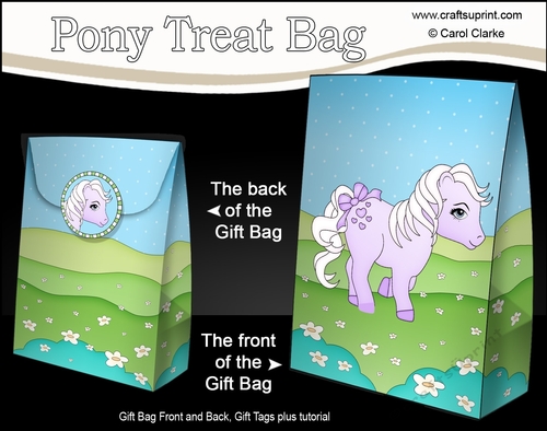 3D Gift Bag Mini Kit - Cute Little Pony Violet