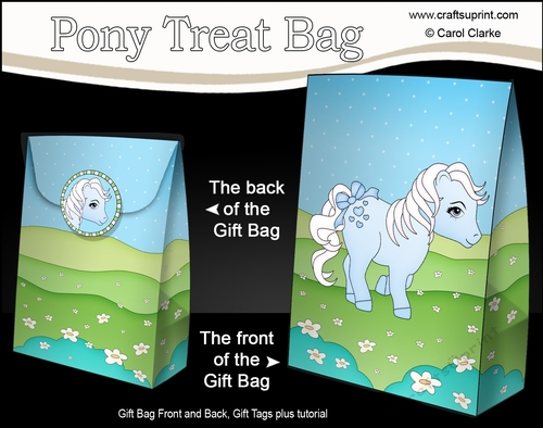 3D Gift Bag Mini Kit - Cute Little Pony Icicle