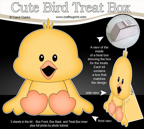 3D Cute Bird Treat Box Gift Set Mini Kit - Cute Little Chick Quackers