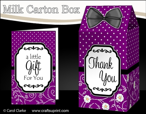 3D Spots & Flowers Milk Carton Treat Box Mini Kit