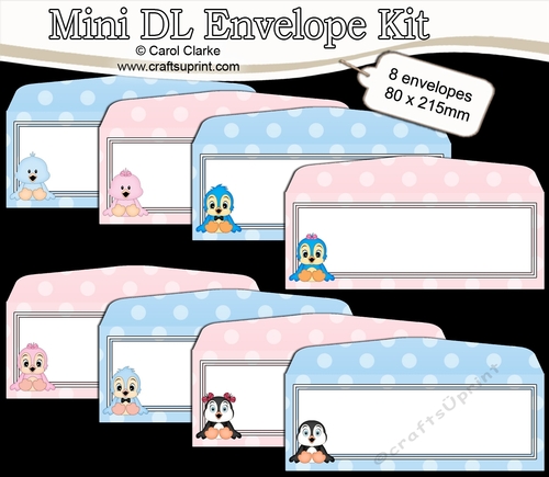 8 Mini Dl (80 x 215mm) Cute Birds Envelope Kit