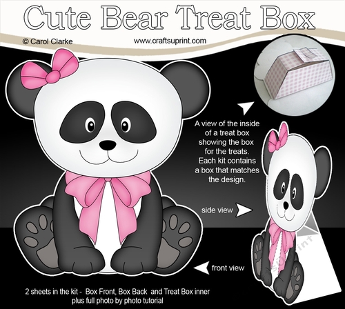 3D Cute Bear Treat Box Gift Set Mini Kit - Cute Little Panda Bear Su Ling