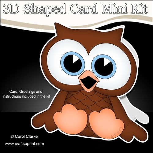 3D Shaped Card  Kit - Cute Little Orson Owl