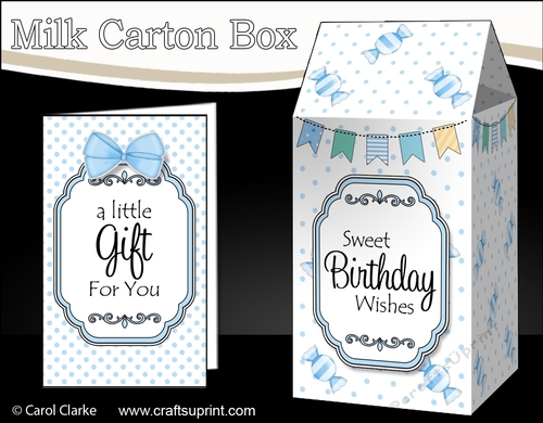 3D Sweet Treats Milk Carton Treat Box Mini Kit