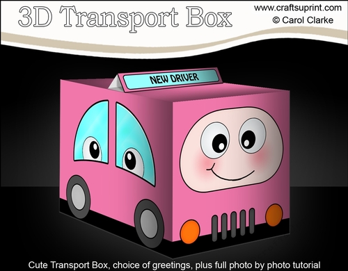 3D Cute Transport Treat Box Gift Set Mini Kit - Pink Car