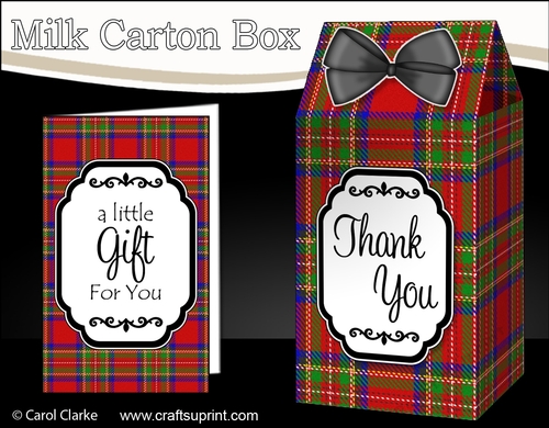 3D Tartan Milk Carton Treat Box Mini Kit