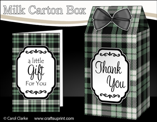 3D Tartan Milk Carton Treat Box Mini Kit