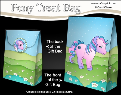 3D Gift Bag Mini Kit - Cute Little Pony Kandy 