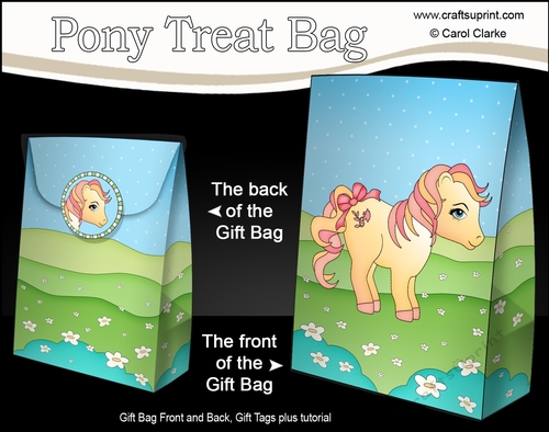3D Gift Bag Mini Kit - Cute Little Pony Amber