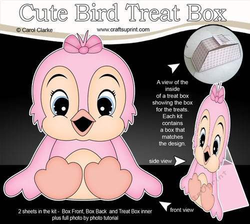 3D Cute Bird Treat Box Gift Set Mini Kit - Cute Little Birdie Bird 