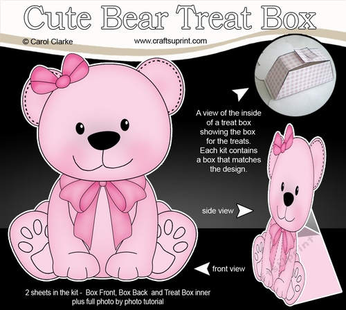 3D Cute Bear Treat Box Gift Set Mini Kit - Cute Little Bliss Bear