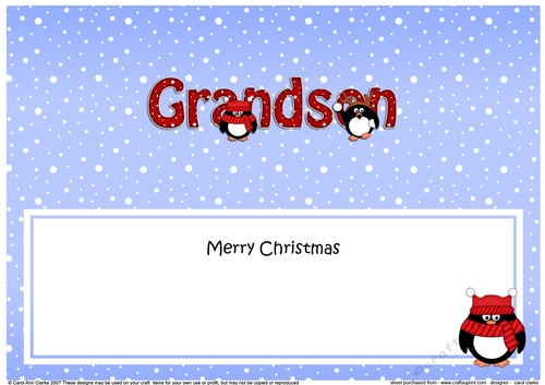 Large DL Merry Christmas GRANDSON insert