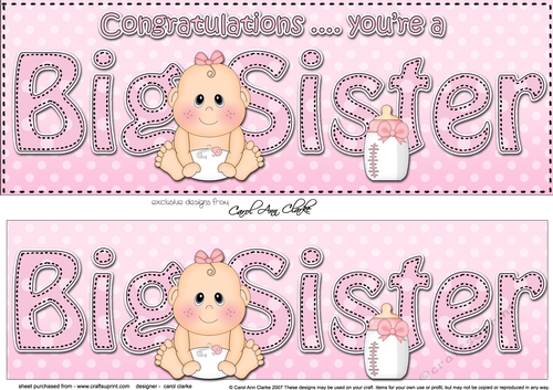 Large DL CONGRATULATIONS ... YOURE A BIG SISTER 3D decoupage