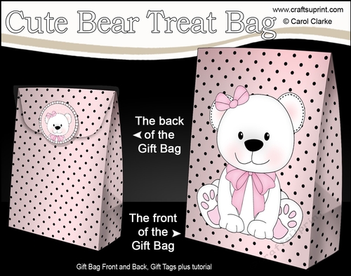 3D Gift Bag Mini Kit - Cute Little Belle Bear