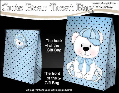 3D Gift Bag Mini Kit - Cute Little Bobbi Bear