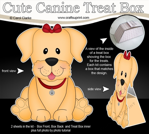 3D Cute Canine Treat Box Gift Set Mini Kit - Little Golden Labrador Dog Saki