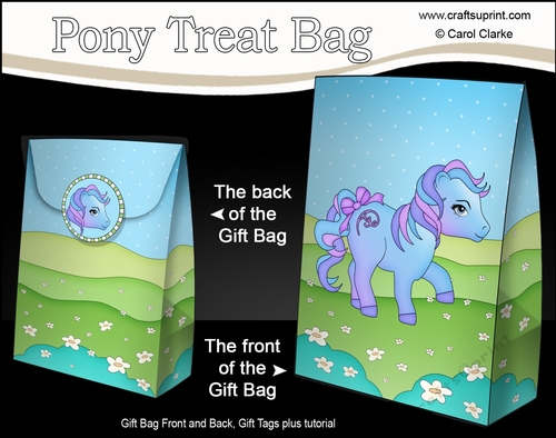 3D Gift Bag Mini Kit - Cute Little Pony Carousel 